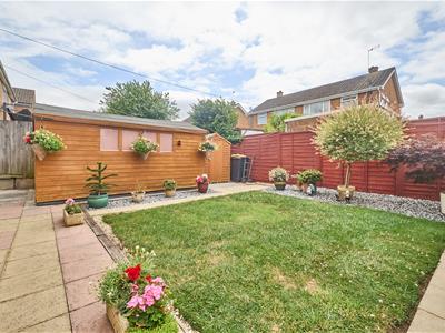 Picture 16